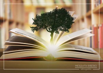 STJ decide pela aplicação do Código Florestal para delimitação de faixa não edificável a partir de curso d’água em áreas urbanas consolidadas