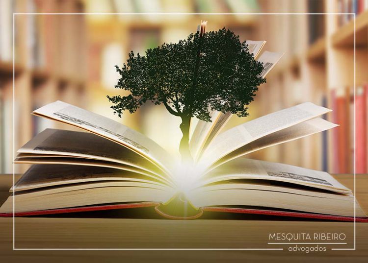 STJ decide pela aplicação do Código Florestal para delimitação de faixa não edificável a partir de curso d’água em áreas urbanas consolidadas